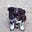 Homeric Musings's avatar