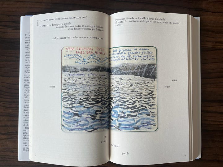Pagine di Pamuk
