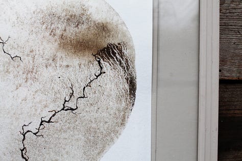 Circular artwork made with mud with roots painted on tope. framed in a light pink/stone frame.