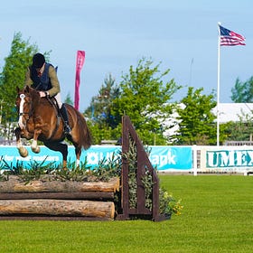 New Livestock and Equine classes announced for Balmoral Show 2024