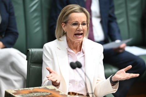 Did Sussan Ley really think her Joy Division attack would work – or was she  just flailing? | Josh Butler | The Guardian