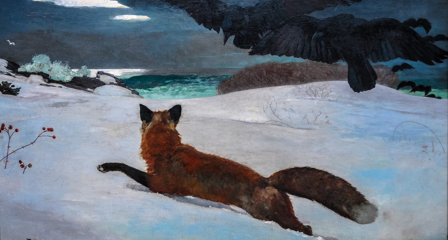 Winslow Homer’s painting 'The Fox Hunt' (1910), an oil on canvas, depicting a lone fox navigating deep snow while being pursued by a flock of crows, with a stark winter landscape in the background. Housed in the Pennsylvania Academy of Art.