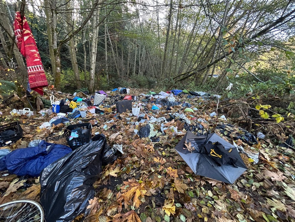 A pile of garbage in the woods
Description automatically generated A pile of garbage in the woods
Description automatically generated