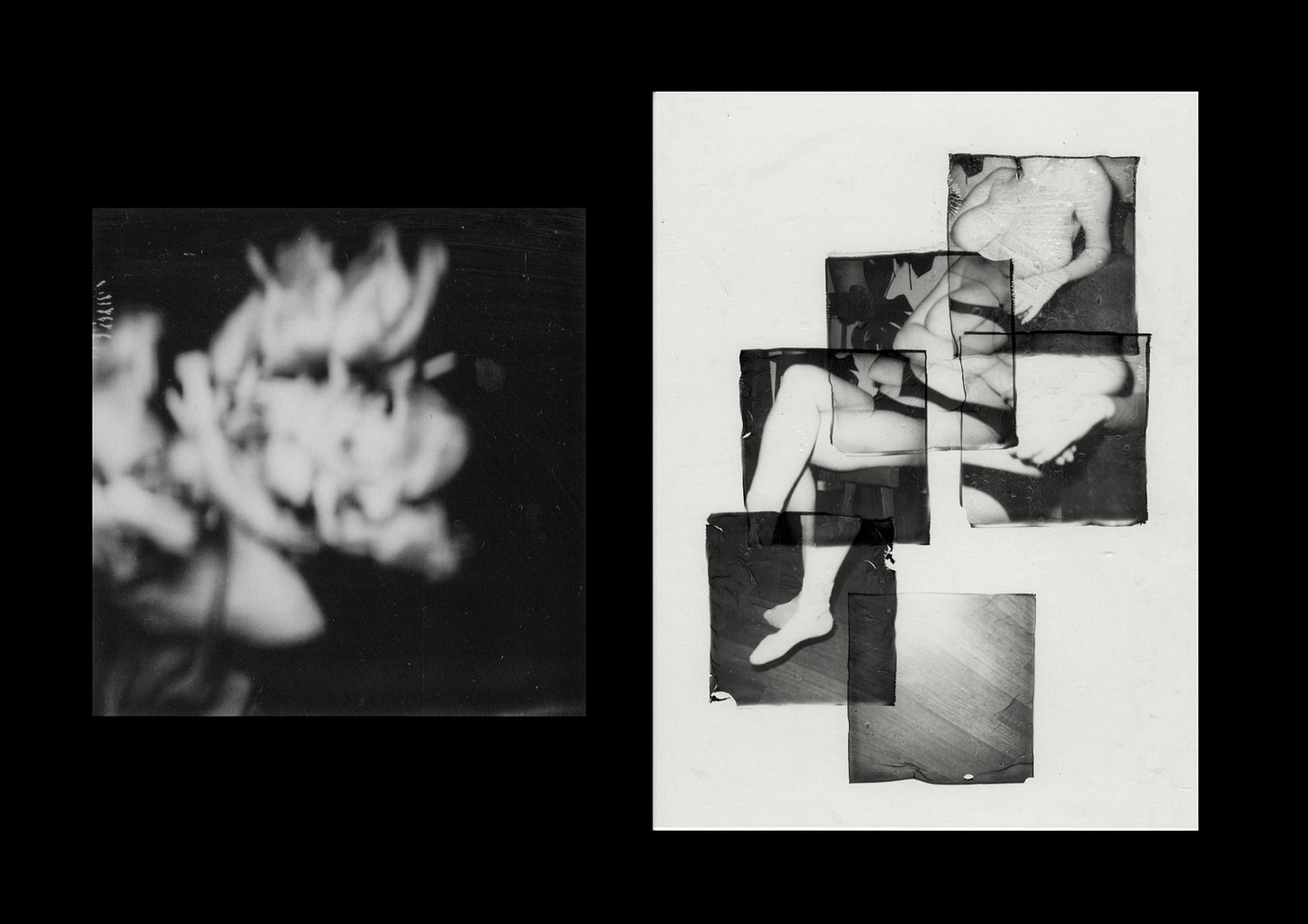 Limerence. Photos by Mabel Ranselli.