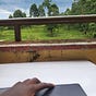 Michael Mwangi's avatar