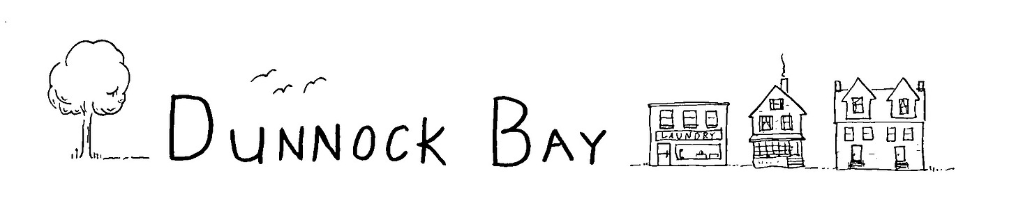 the usual dunnock bay header image with a simple line drawing of a town streetscape, with houses and a laundromat the usual dunnock bay header image with a simple line drawing of a town streetscape, with houses and a laundromat