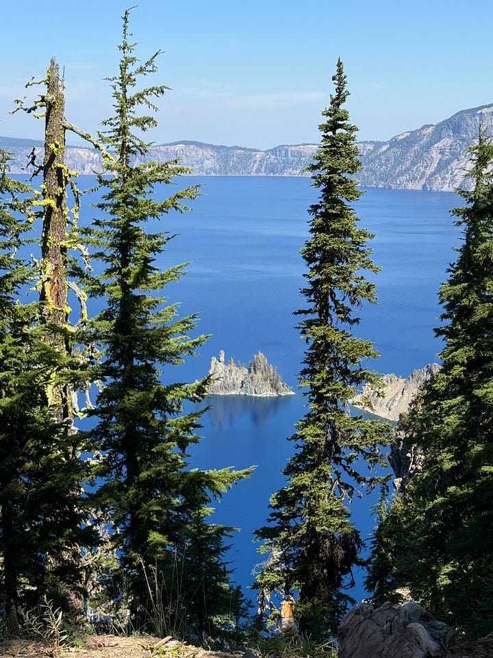 Golden mantel squirrel, phantom ship, Wizard Island, reading Crater Lake quarterly quide