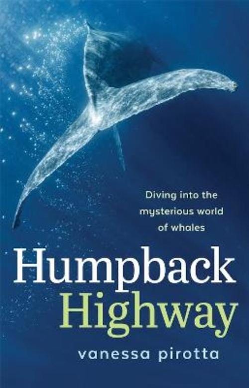humpback-highway-dr-vanesas-pirotta-review