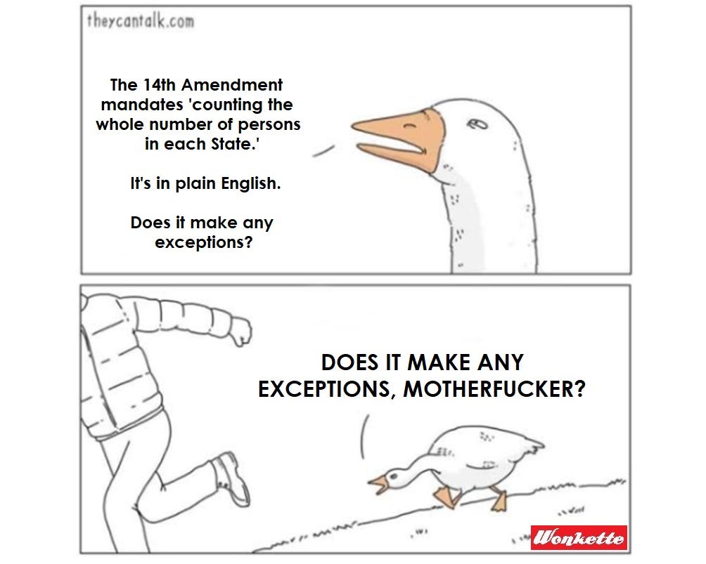 'Angry Goose' cartoon meme. Top panel: Goose says 'The 14th Amendment mandates 'counting the whole number of persons in each State.' It's in plain English. Does it make any exceptions?'    Bottom Panel: Goose, now angry, hisses and chases someone wearing a down jacket. Goose says, in all-caps, 'Does it make any exceptions, motherfucker?'