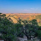 The Pygmy Conifer Forests of the Four Corners