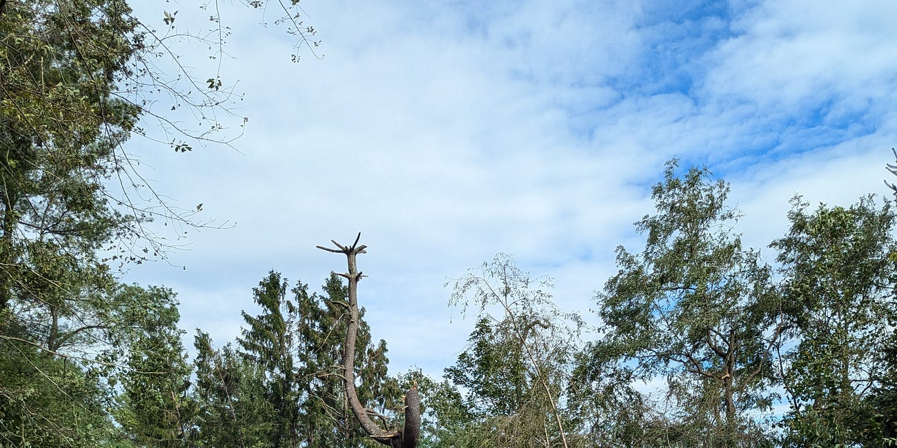 I'm Not Here for the Glory