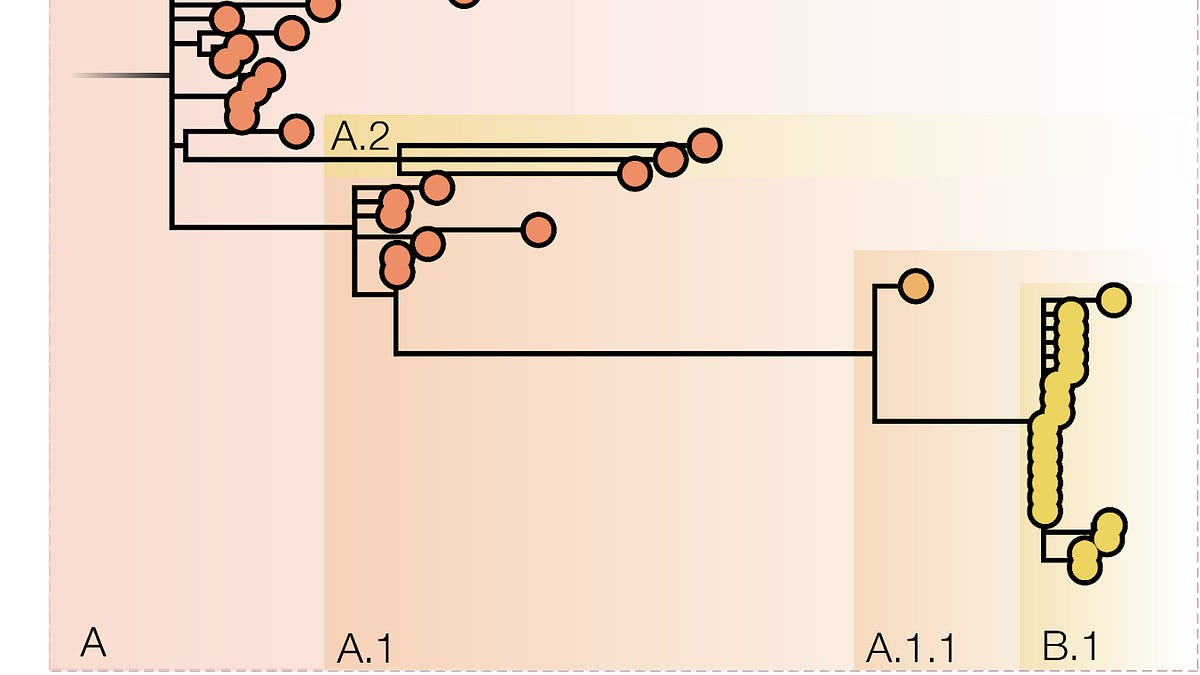 URGENT ALERT: Virologists issue urgent new Monkeypox warning about .... racism