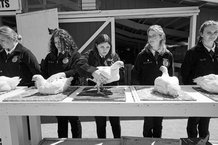 On left three girls display chickens. On Right a boy displays a goat.