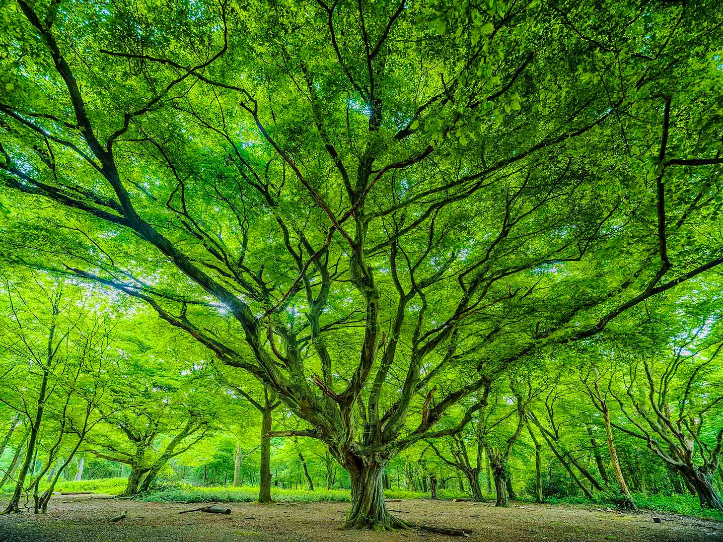 Featured projects - Adrian Houston