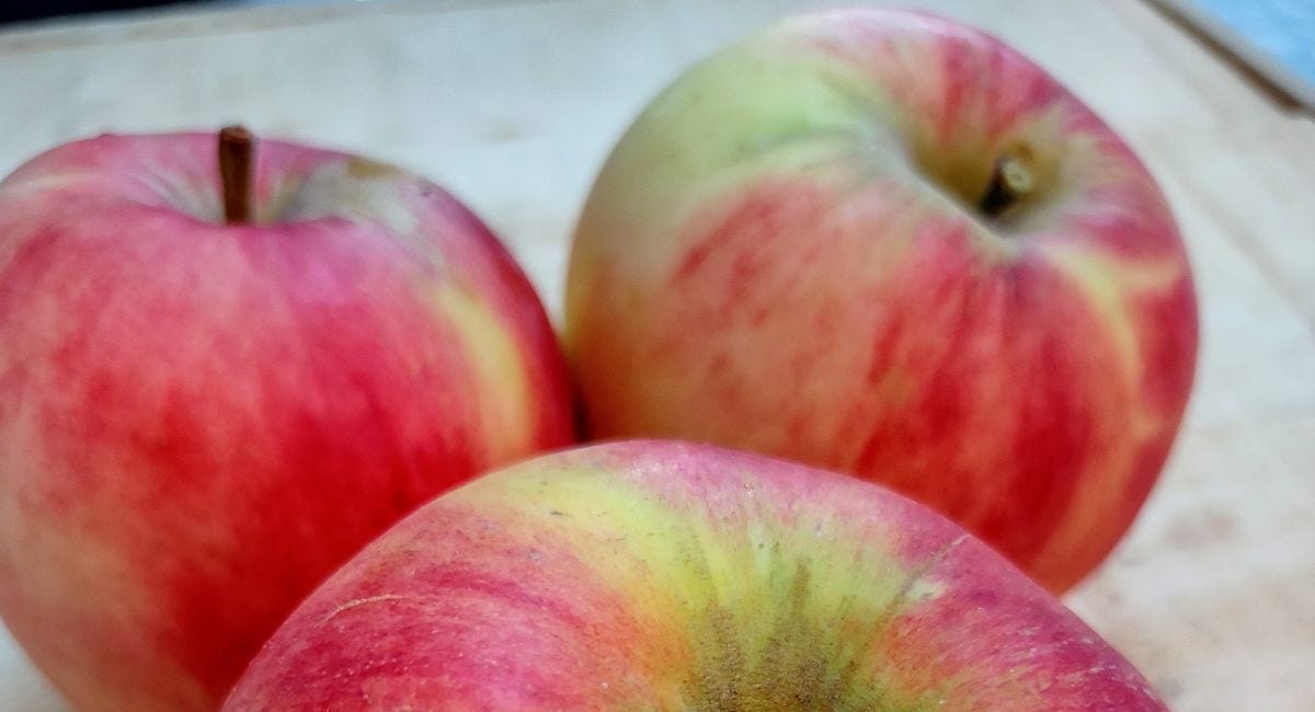 Episode 50 - What is a Sansa Apple?