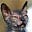 Stephen Fisher's avatar