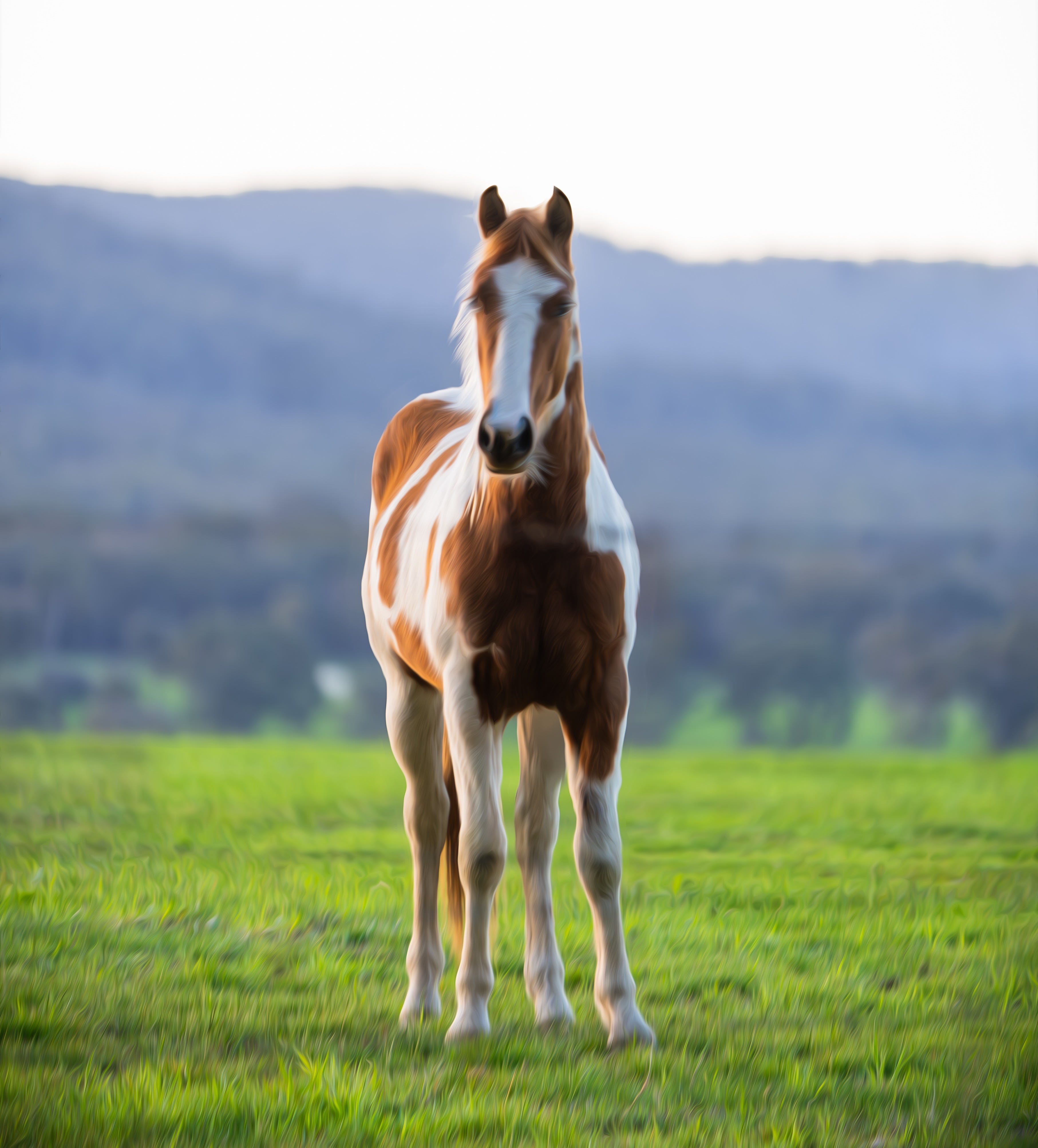 Interlude: Spring Attack - by Peter R. Rancie