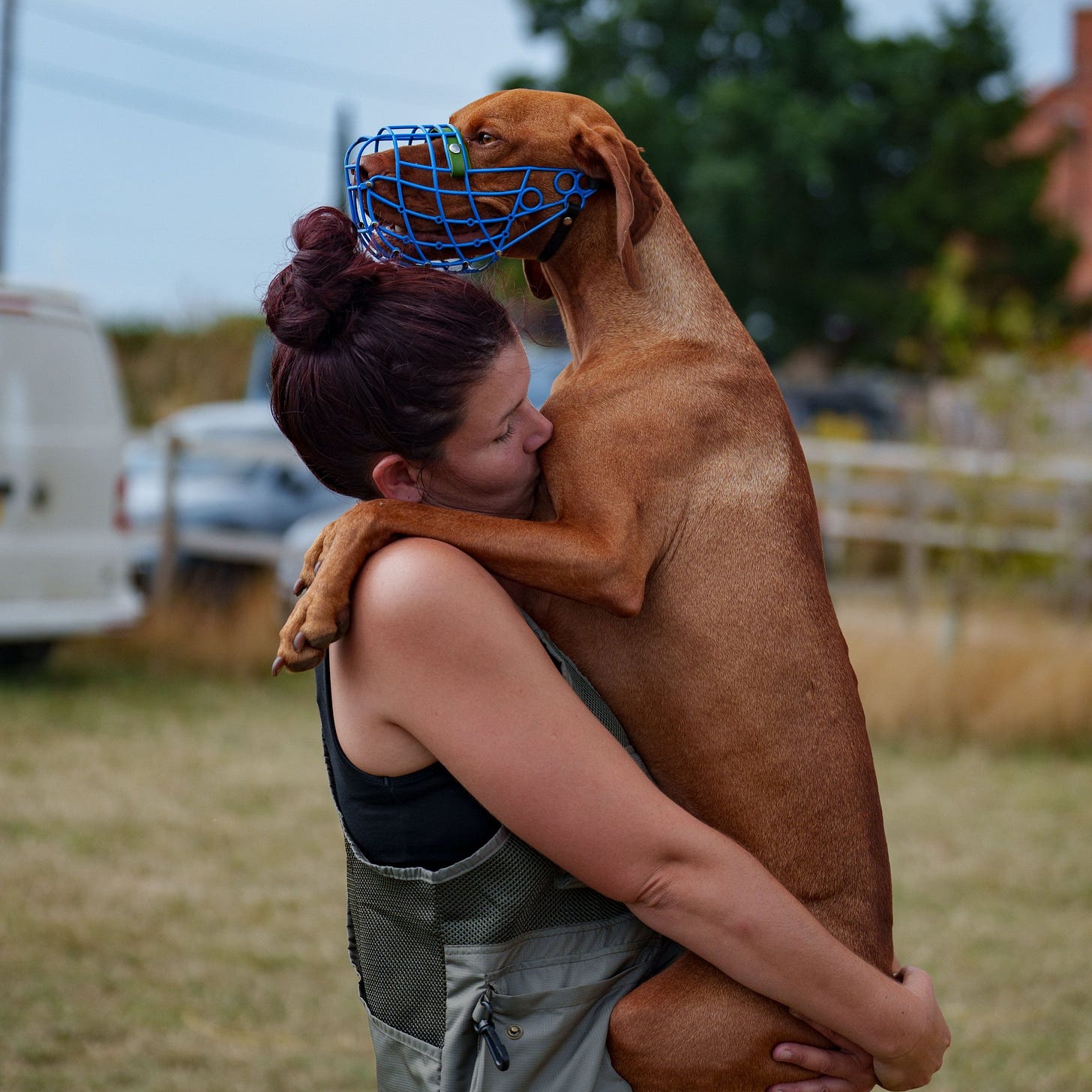 A woman hugging a large brown dog with a blue muzzle at an outdoor location. A woman hugging a large brown dog with a blue muzzle at an outdoor location.