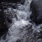 53. The Wild Enchantment Club | Creative flow and washing in freshwater springs
