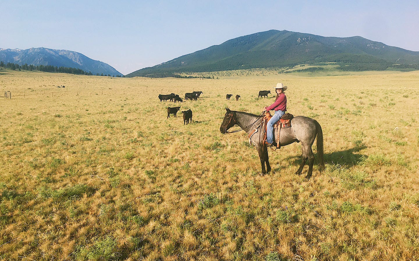 Montana internship program exposes state's “city kids” to ranch life – On  Land