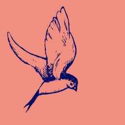 Learning Without Limits