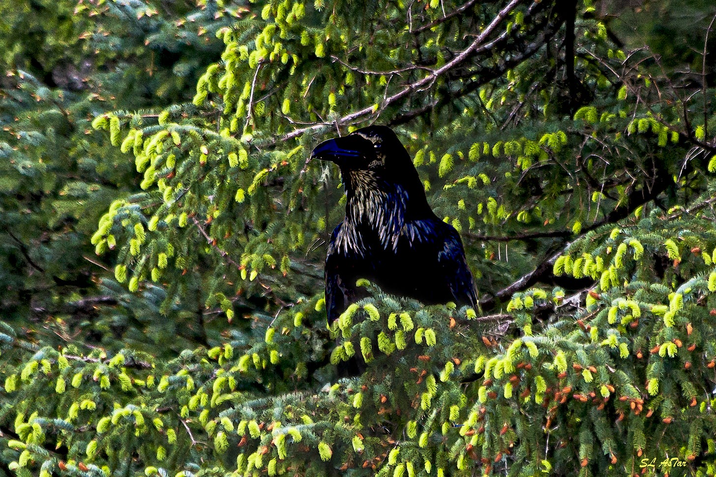 02 2022-09-28 UnF Arrival Karrew Watches Fl WC copy.jpg