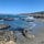 SonomaSage’s Newsletter