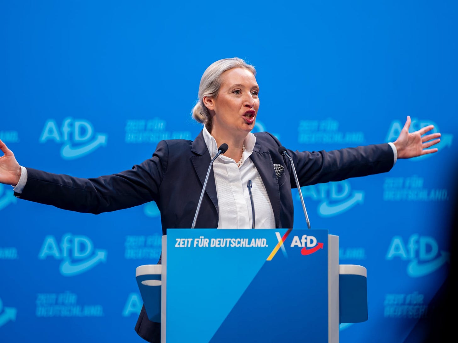 Alice Weidel: The unlikely leader driving the far-right AfD to new heights | International | EL PAÍS English Alice Weidel: The unlikely leader driving the far-right AfD to new heights | International | EL PAÍS English