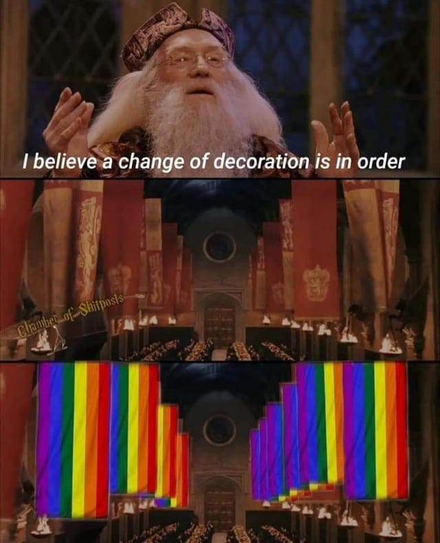 r/HarryPotterMemes - Happy Pride Month Y'all