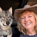 Sandi Ault's avatar