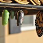 When the Life You Built Stops Fitting