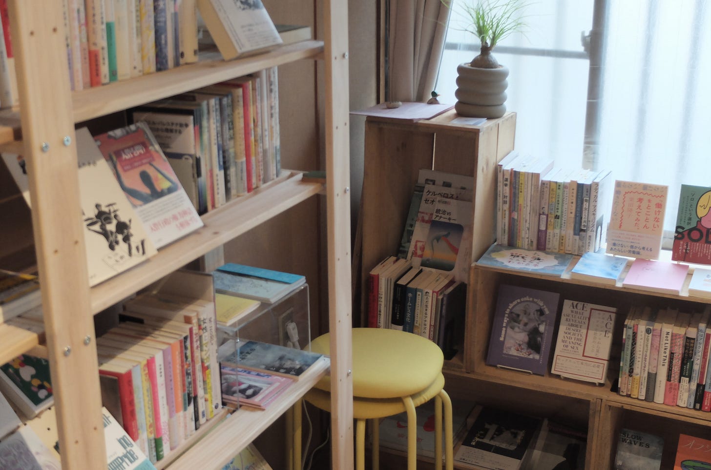 店内の画像。左側に壁際の本棚。右側には窓際の本棚が見えている。