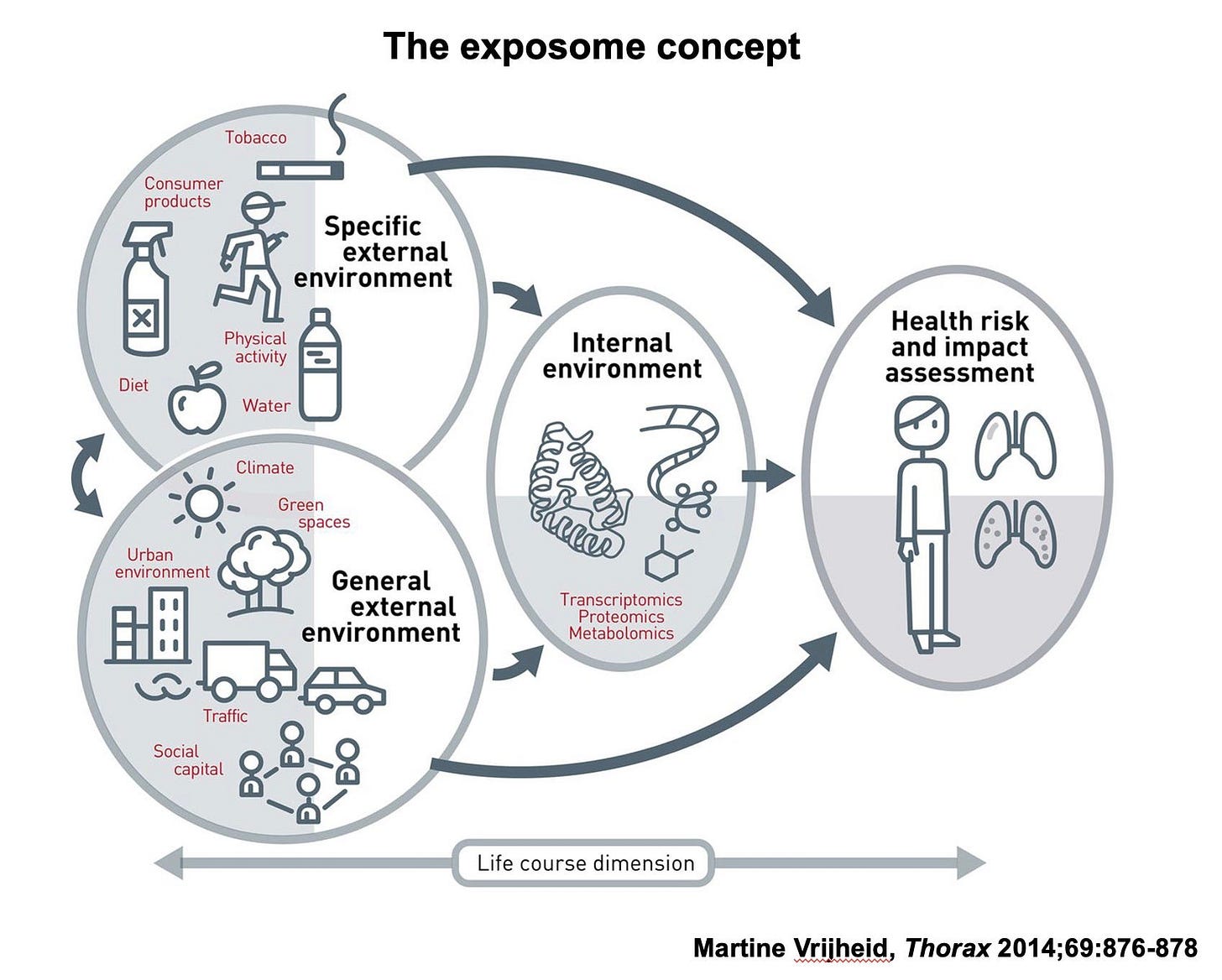 The concept of the exposome illustrated by Martine Vrijheid in Thorax journal, 2014;69:876–878, Copyright © BMJ Publishing Group Ltd & British Thoracic Society. All rights reserved. The concept of the exposome illustrated by Martine Vrijheid in Thorax journal, 2014;69:876–878, Copyright © BMJ Publishing Group Ltd & British Thoracic Society. All rights reserved.