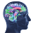 Consciousness & The Brain