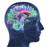 Consciousness & The Brain