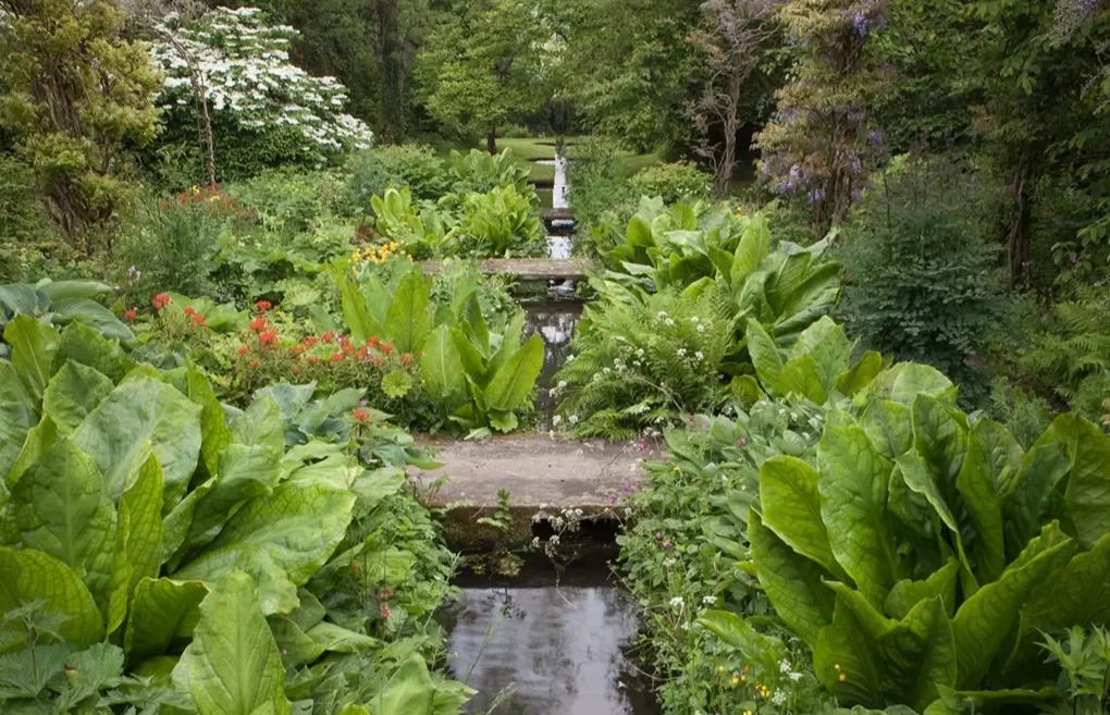 garden rill
