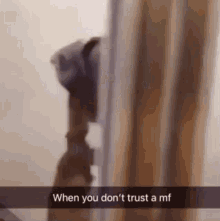 Dont Trust GIFs | Tenor Dont Trust GIFs | Tenor