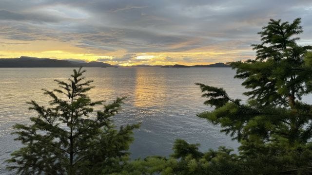 A view of water with pine trees up front and a glowing gold sunset over distant mountains