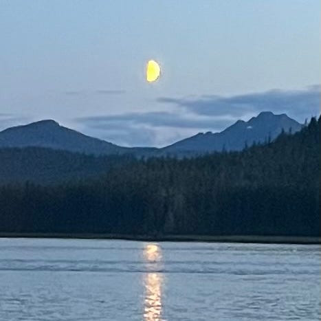 Marvin’s Quietmind Substack