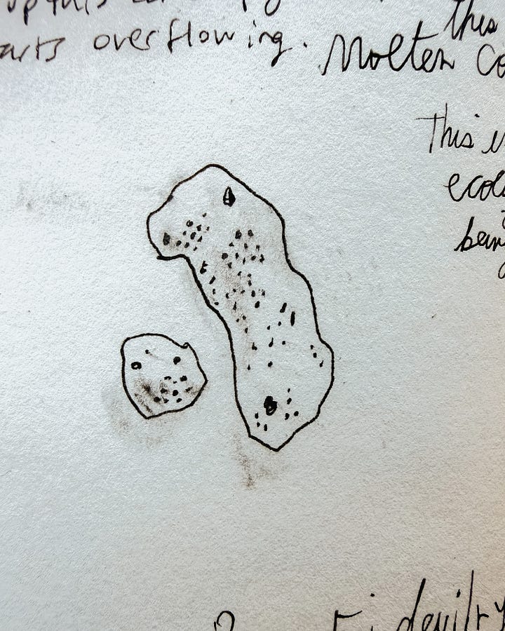 Pacific Ocean Costa Rica sea treasures shells coral 