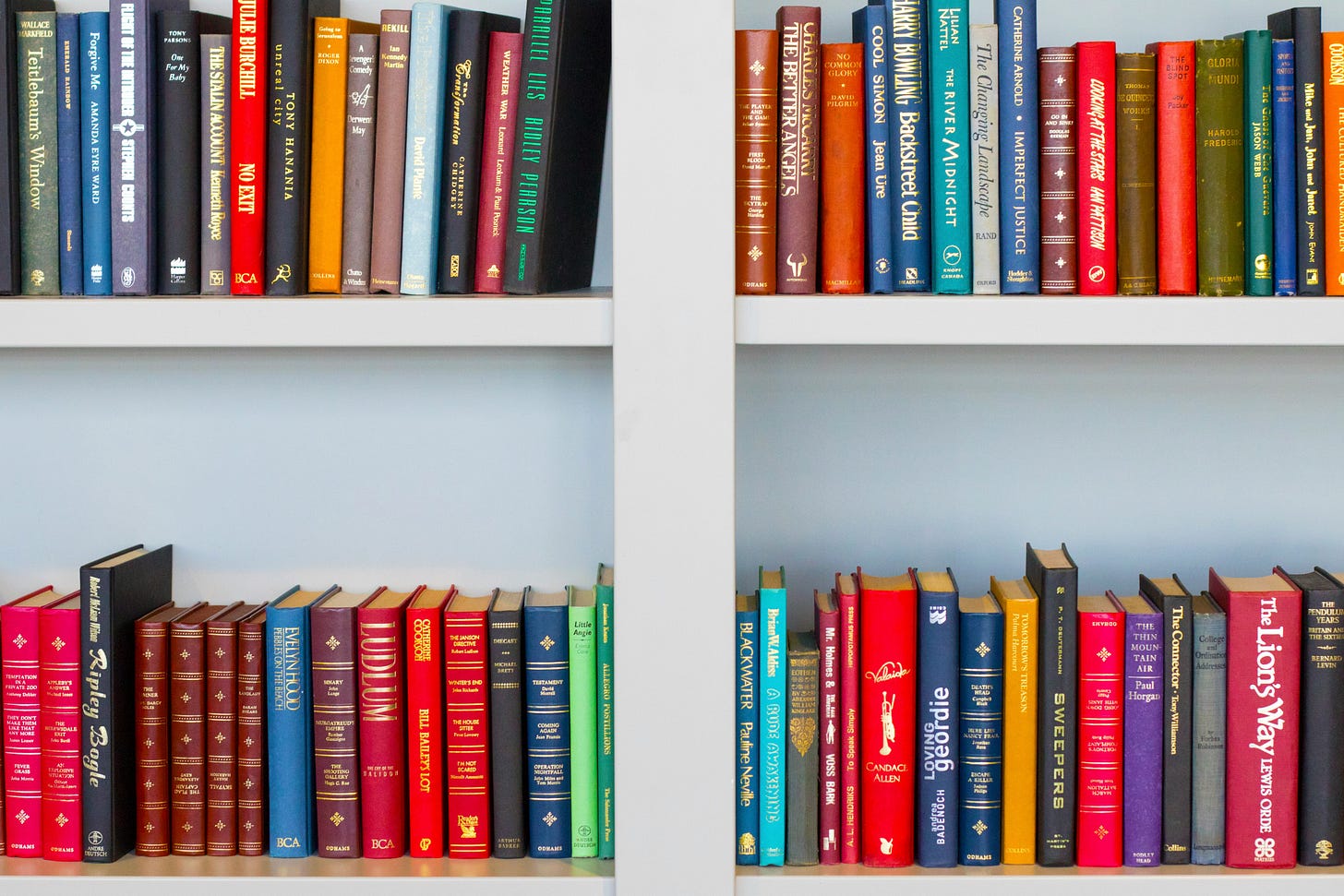 shelves of books shelves of books