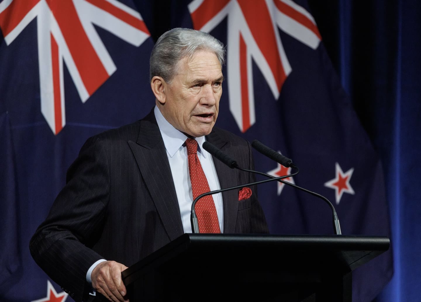 NZ First leader Winston Peters has not supported Stanford's changes. Photo / Mark Mitchell NZ First leader Winston Peters has not supported Stanford's changes. Photo / Mark Mitchell