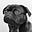 Jay's avatar