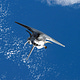 Free Fall