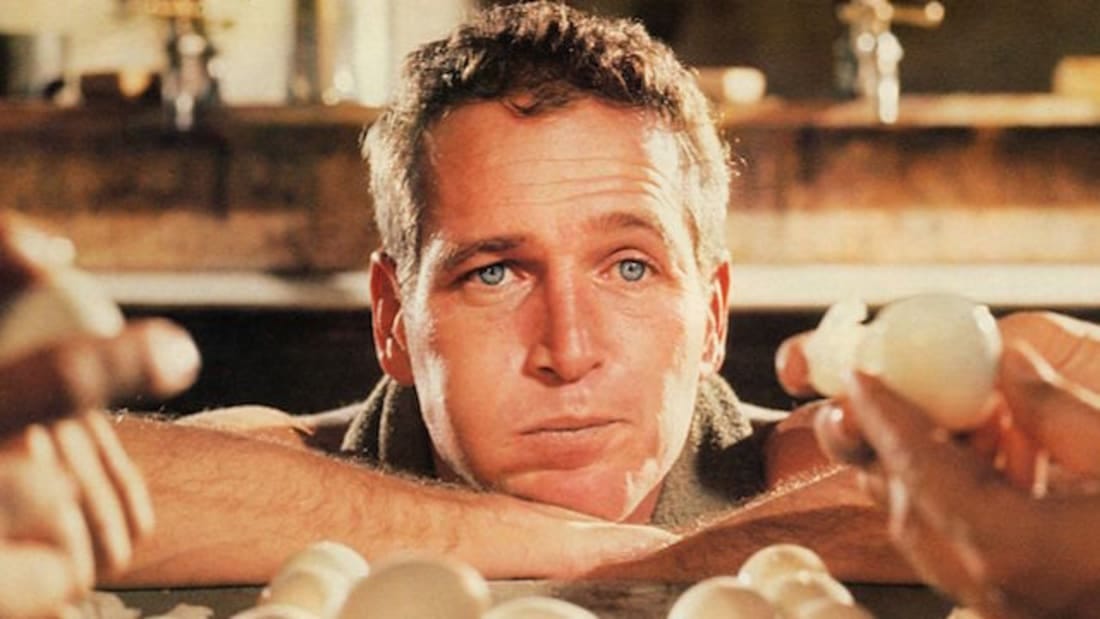 Image result for cool hand luke Image result for cool hand luke
