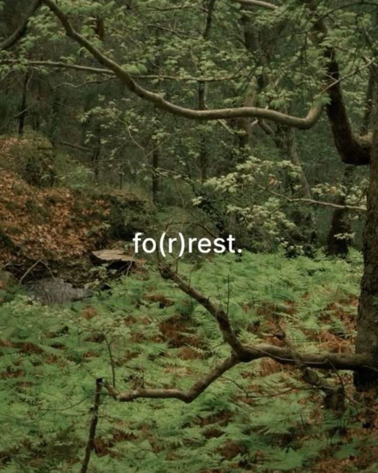photo of a forest with the words fo(r)rest