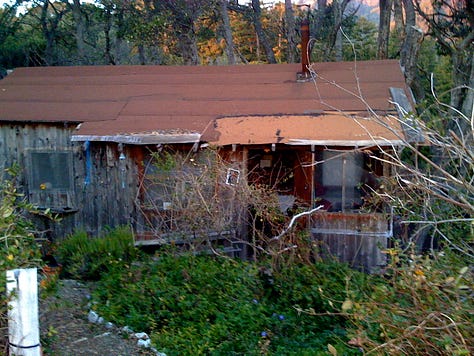 L to R: Back door to Bob's cabin, Toby and Bob. Bob was in hospice care and got to die at home, in his cabin, as he wished; Bob's cabin, which he built with Rosa, in the early 70s. He first bicycled to Big Sur in 1952, from the Bay Area. For love, of course; Bob "in state," in nature. Toby found some lupin and rosemary to wrap in his sheets; Susie wearing Bob's vest, in the cabin; Jay takes a look out at Partington Ridge with Bob; "Saint Bob." He would laugh at this one. He had little use for religion; Jon's drawing of Bob, in his bed, before we moved him outside. He wanted to be cremated, and since he lived so far from the road, we "wrapped" him in his bed linens, and carried him, like pallbearers without a coffin, up to the road where a fellow from the Mortuary met us; and Sula, Bob's executor, also drew Bob as he was in bed. This looks more like Bob when he was alive... he was a big, strong, guy!