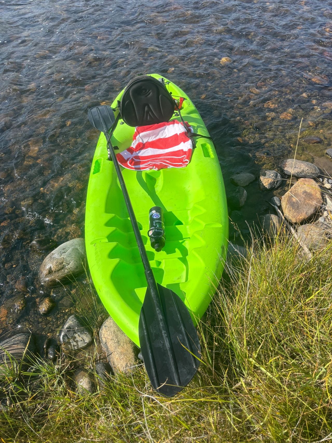 Docked on the river bank to check cows.