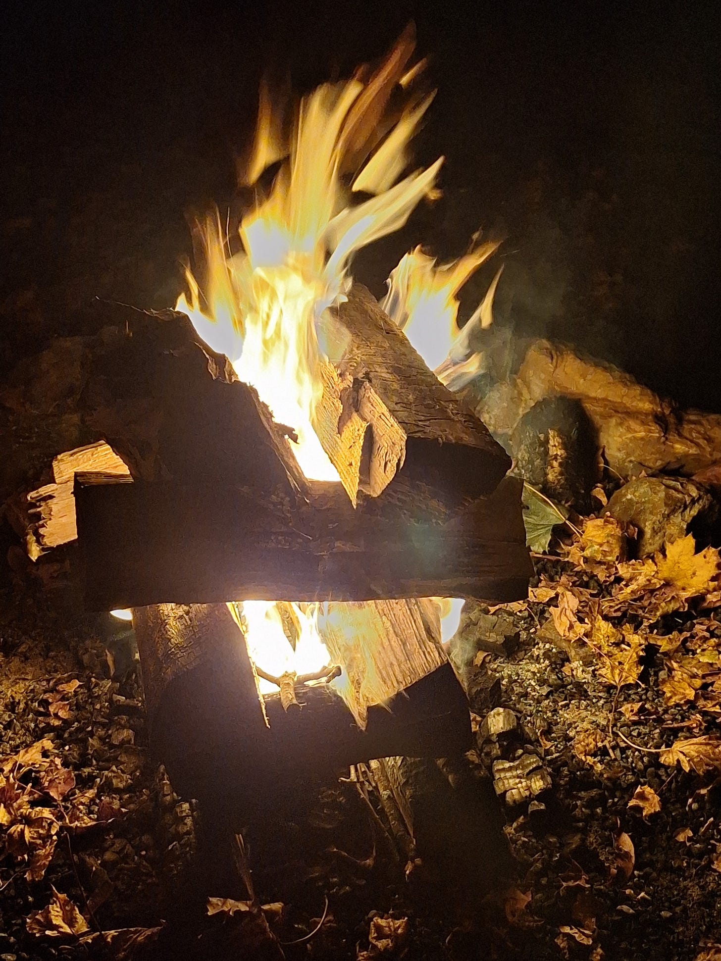 A close-up shot of burning firewood at night, flames rising in bright yellow and orange as they flick upward from stacked logs, surrounded by scattered autumn leaves on the ground.