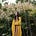 Sarah Faith Gottesdiener's avatar